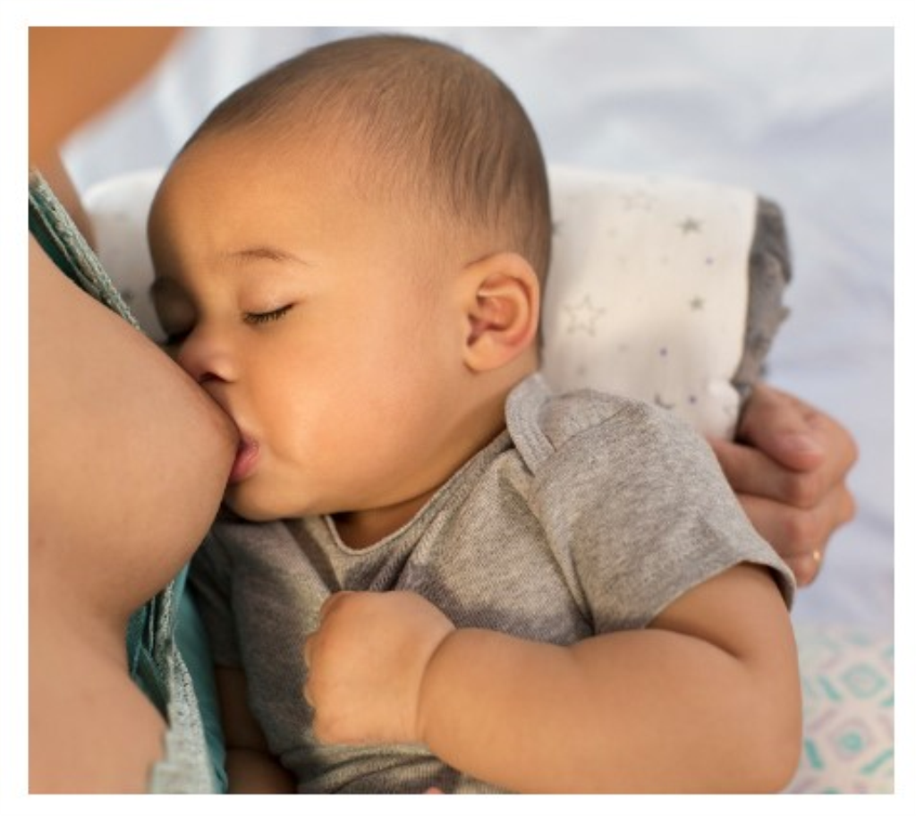 LANSINOH JASTUK ZA DOJENJE