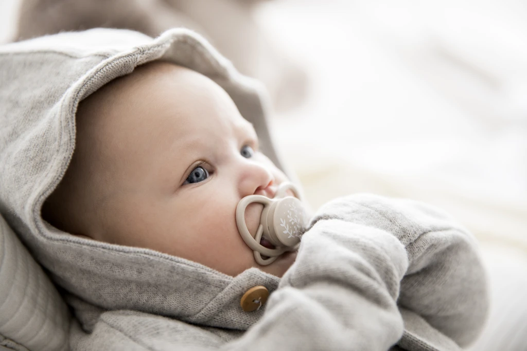 NIP BUTTERFLY DUDA, SILIKON, VEL.2 (5-18 MJESECI)