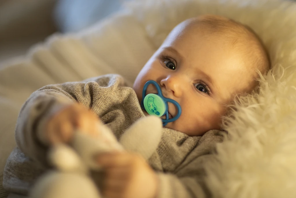 NIP BUTTERFLY NIGHT DUDA, SILIKON, VEL.2 (5-18 MJESECI)