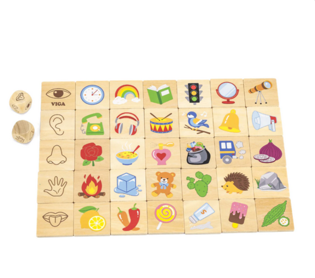 VIGA DRVENI SET UČIMO ČULA