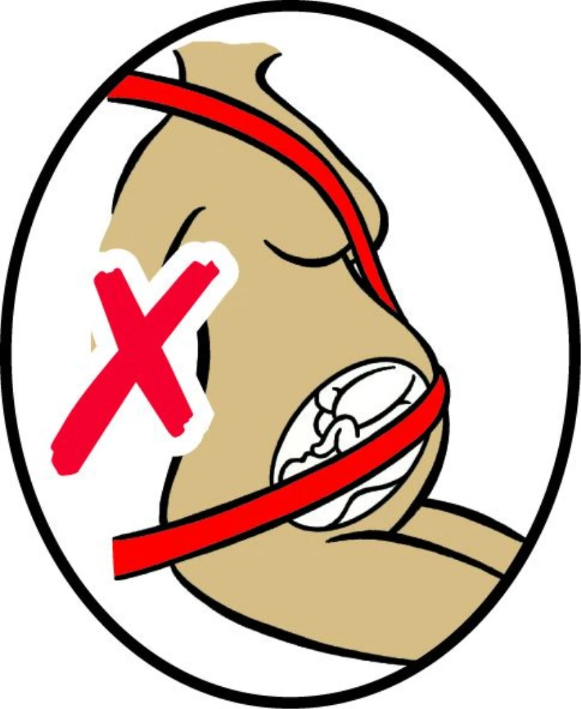 ZOPA SIGURNOSNI POJAS ZA TRUDNICE MUMMY POJAS