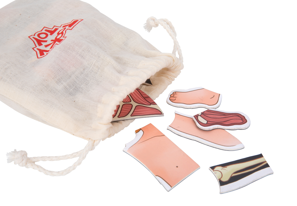 TOOKY TOY ANATOMIJA TIJELA MOD.