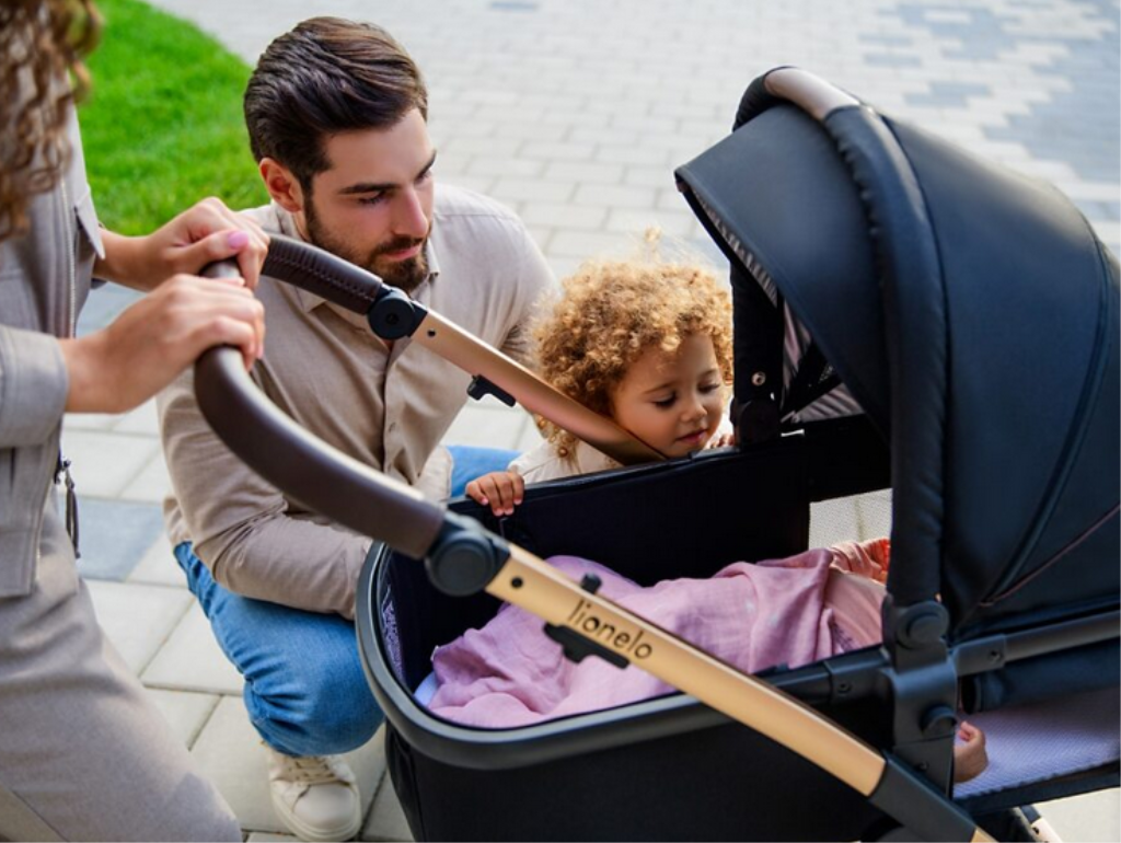 LIONELO AMBER KOLICA 3U1 CRNA