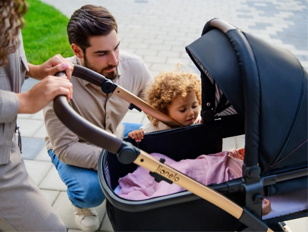 LIONELO AMBER KOLICA 3U1 CRNA