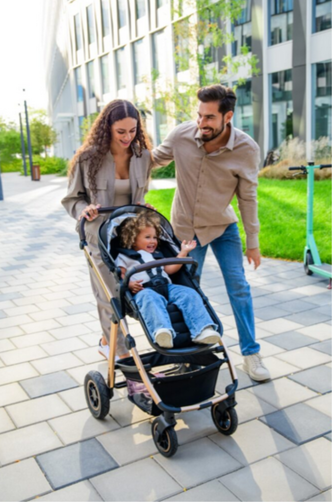 LIONELO AMBER KOLICA 3U1 CRNA