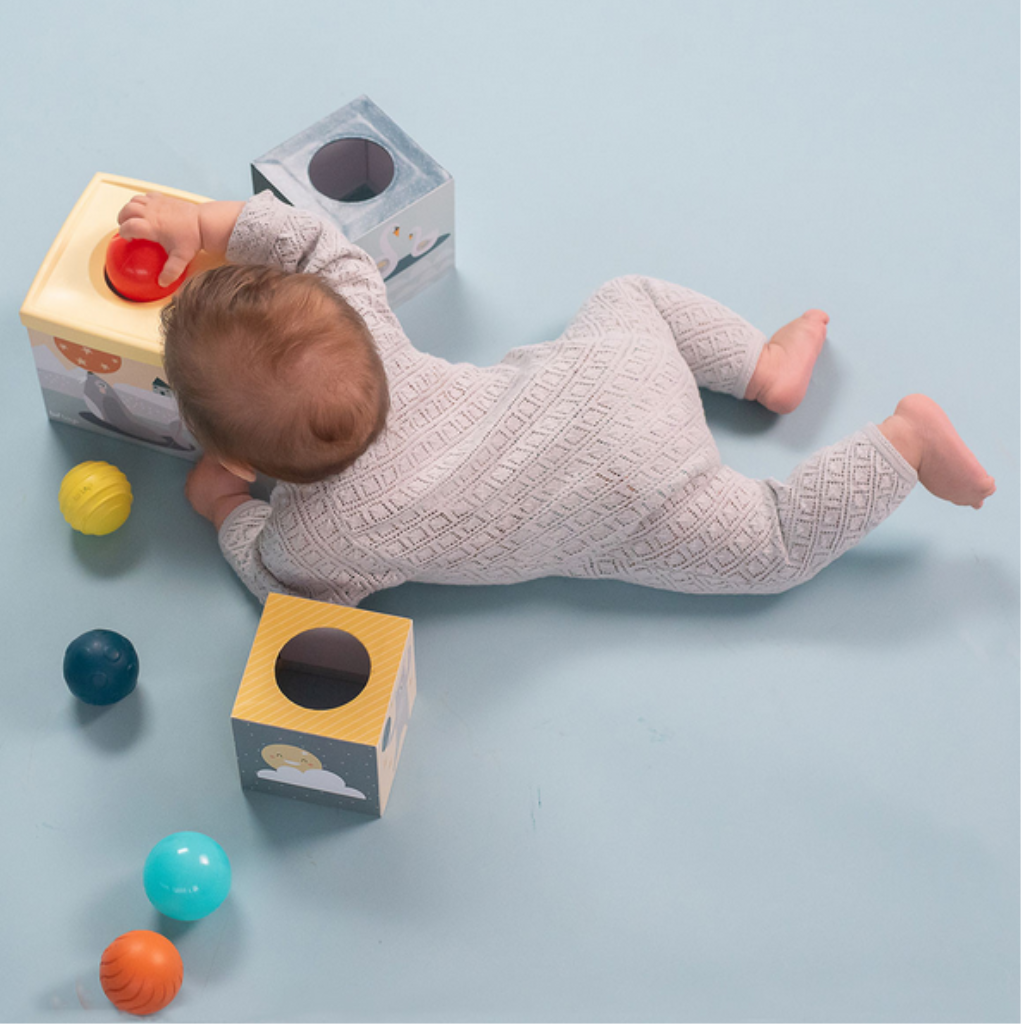 TAF TOYS EDUKATIVNE KOCKE I LOPTICE FOR.