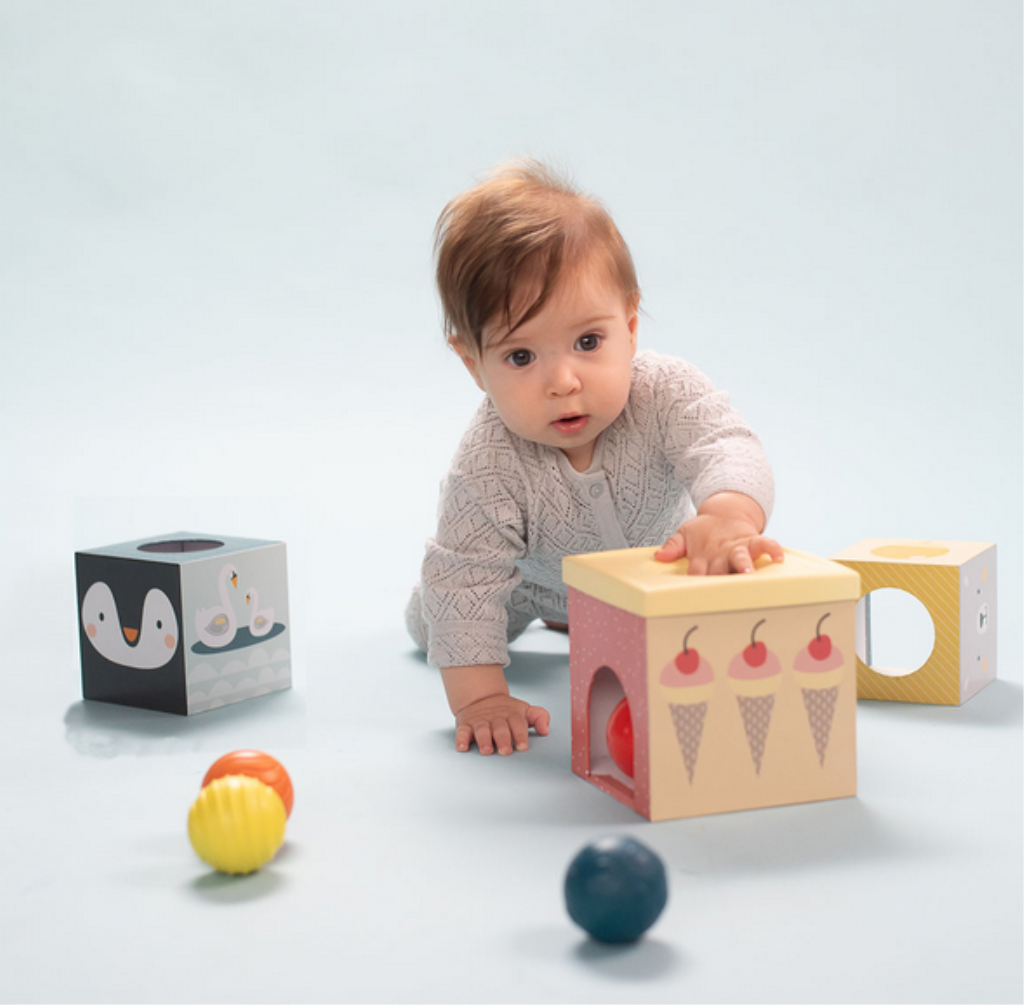 TAF TOYS EDUKATIVNE KOCKE I LOPTICE FOR.