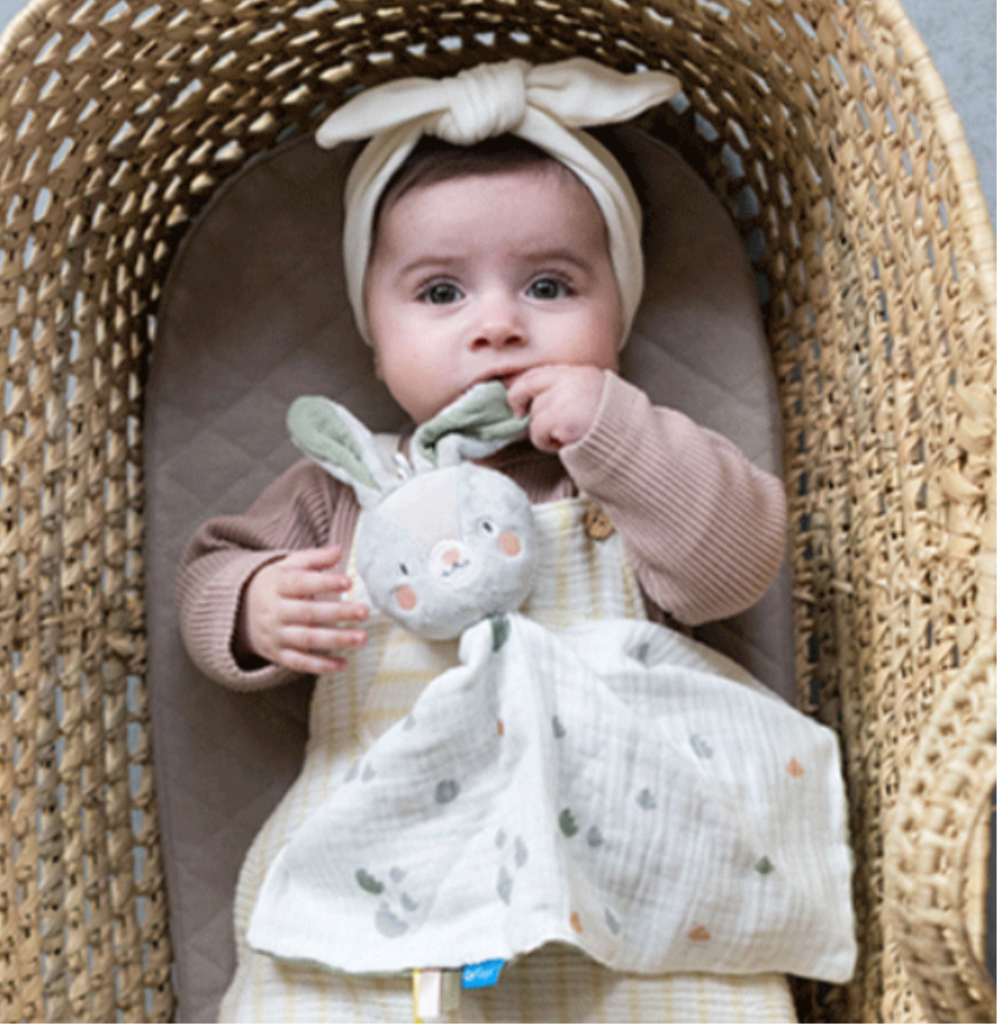 TT ZEKO TJEŠILICA FOR.