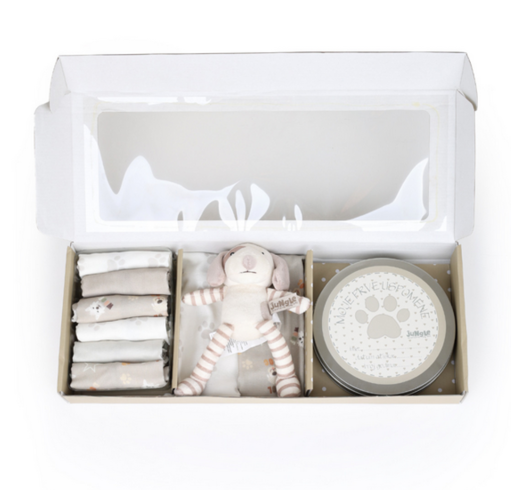 BEBI SET/PRVI OTISAK SIVI PAS FOR.