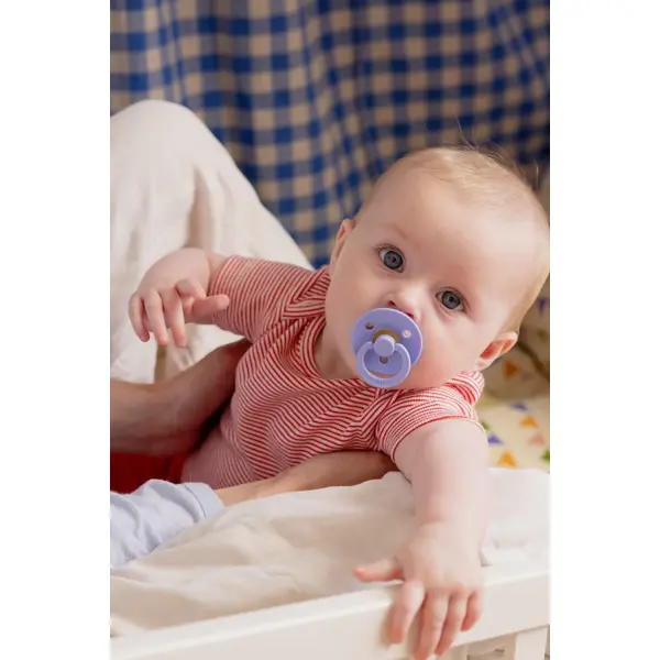 BIBS DUDE HUSH&GRAPE,VEL.1