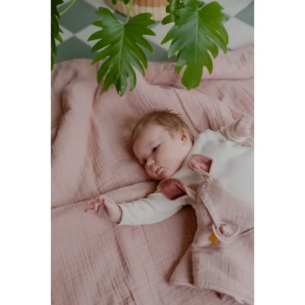 BIBS TJEŠILICA MUSLIN/IRON PLUSH