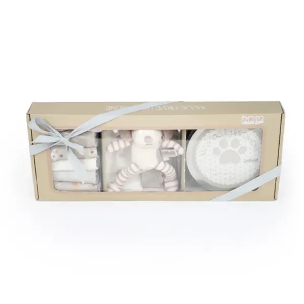 BEBI SET/PRVI OTISAK SIVI PAS FOR.
