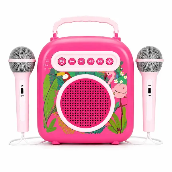 FUNTOY BLUETOOTH KARAOKE