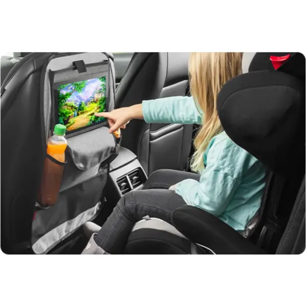 REER ORGANIZATOR ZA AUTO
